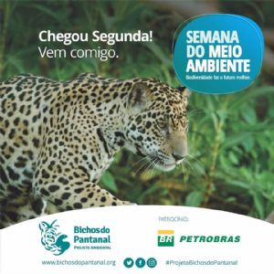  Projeto Bichos do Pantanal apresenta sua agenda para a  Semana do Meio Ambiente