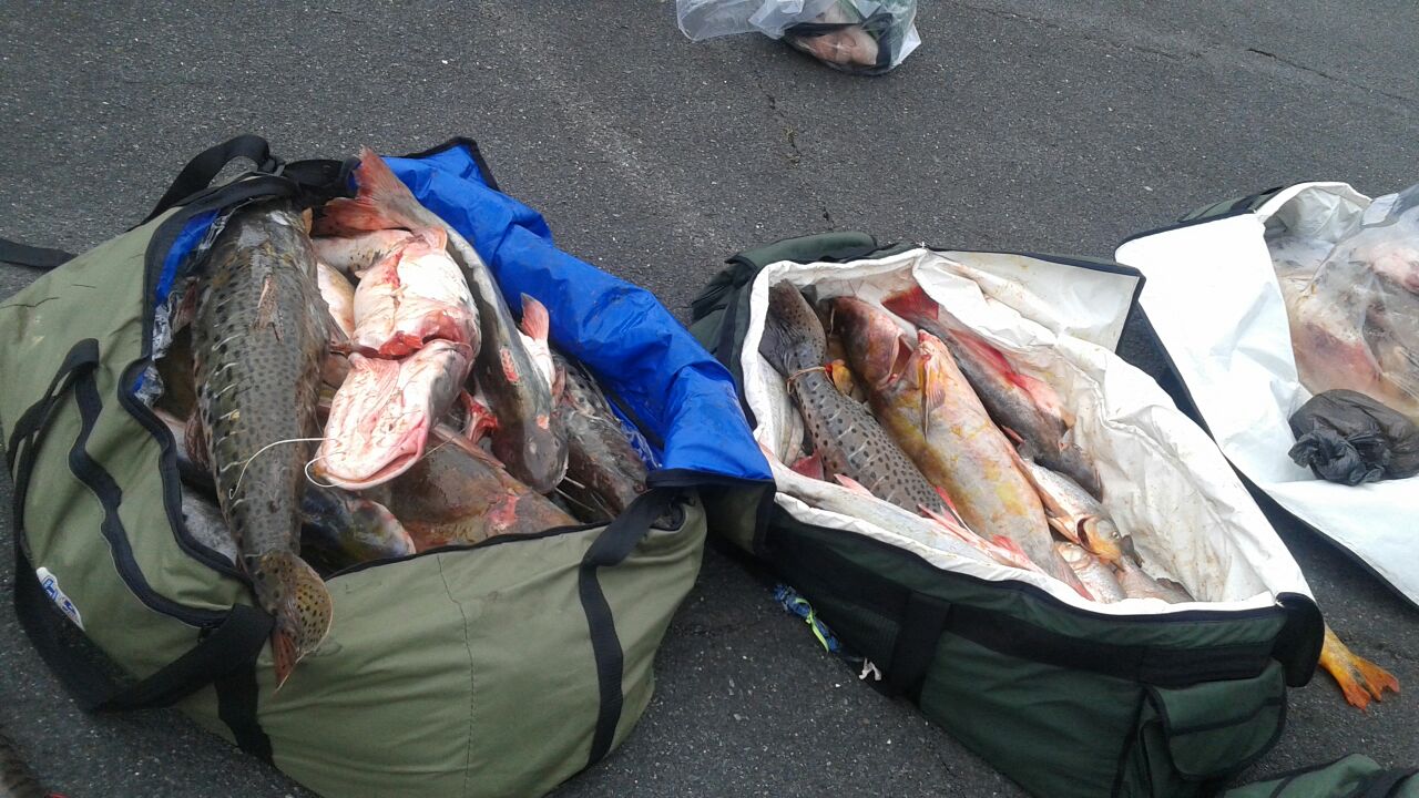 Quatro turistas de MG foram flagrados pela Polcia Ambiental com 195 kg de pescado irregular
