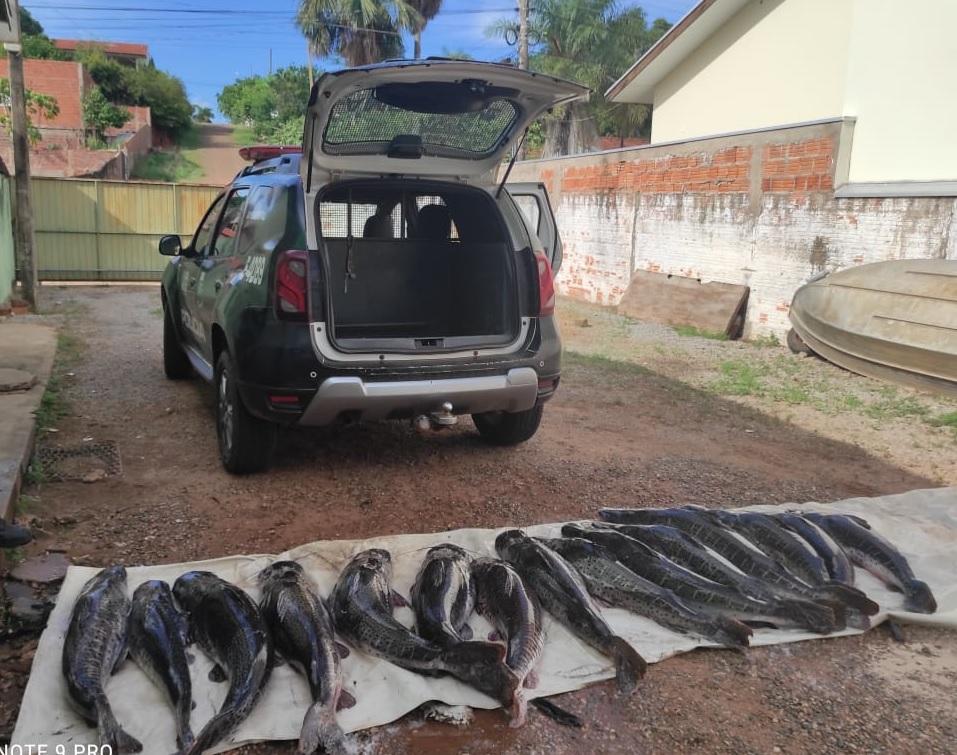 Batalho Ambiental apreende pescado nas margens do Rio Paraguai
