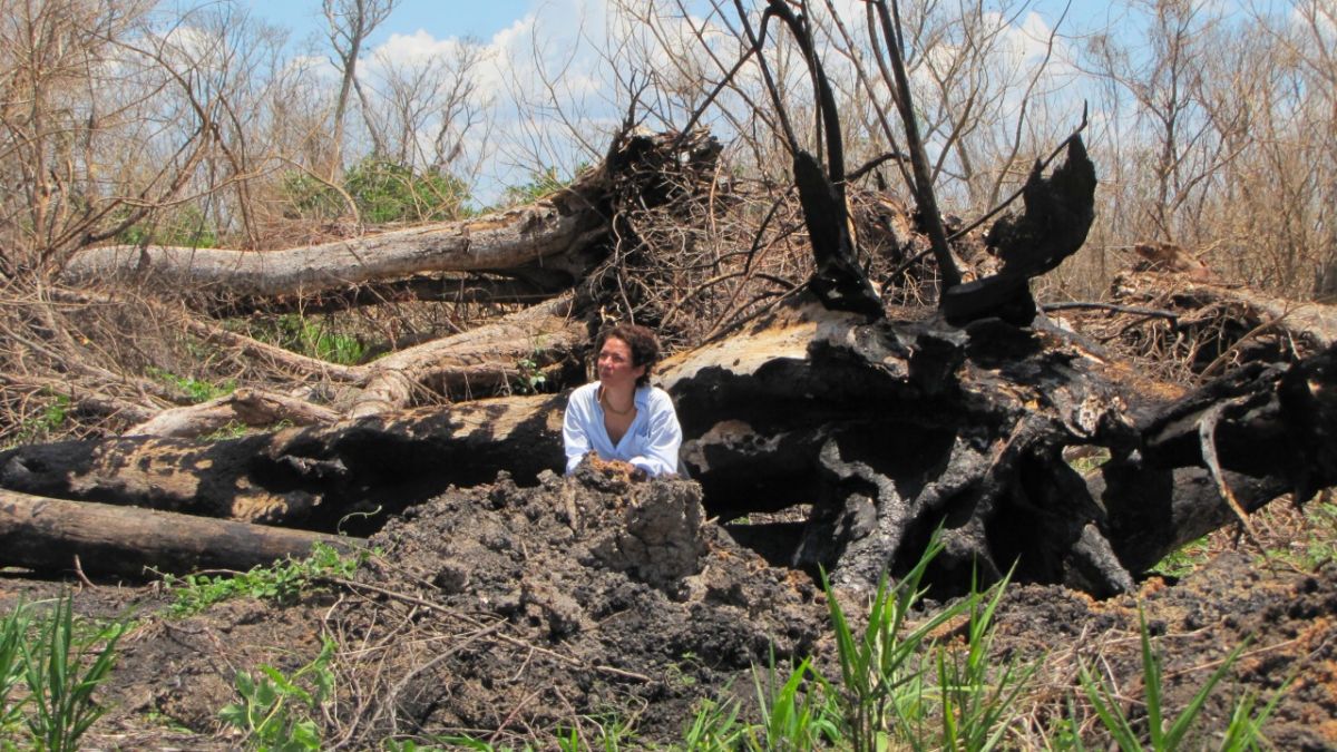 Mesmo em poca de chuvas, Pantanal ainda  sofre com efeitos da seca e das queimadas