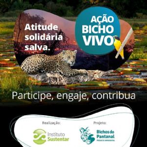 Projeto Bichos do Pantanal lana Ao Bicho Vivo para salvar animais vtimas dos incndios