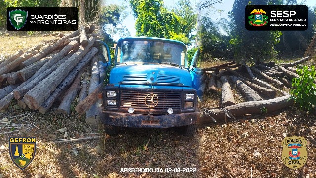 Ao conjunta apreende madeira ilegal avaliada em R$ 260 mil