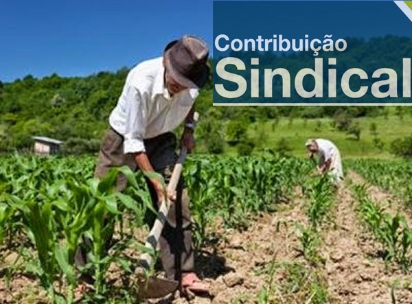 Produtores rurais pessoa fsica tm at dia 22 de maio para pagar a Contribuio Sindical Rural