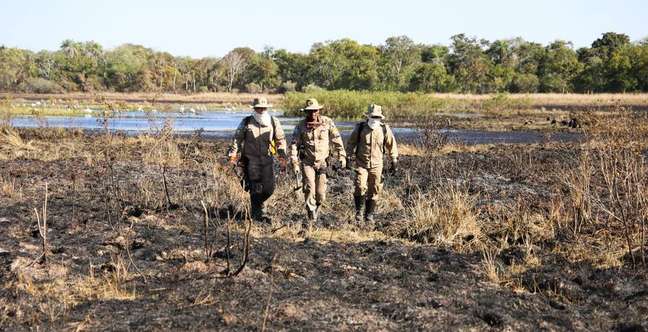 Mato Grosso tem 101 municpios ameaados de calor    extremo por desmatamento e mudanas climticas