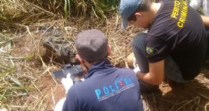 Polcia Civil j investiga ossada humana  encontrada em terreno baldio em Vila Bela