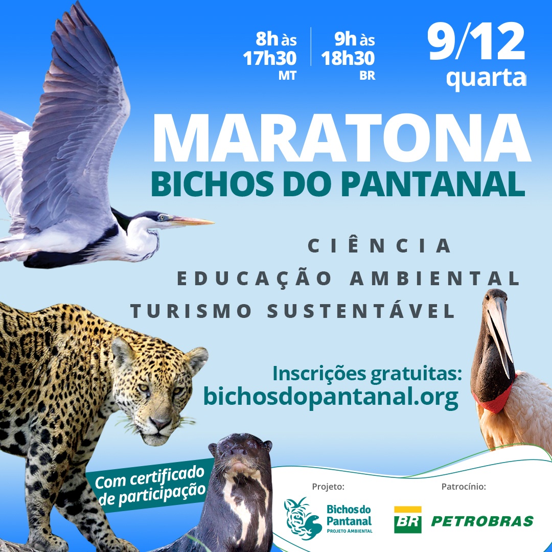Maratona Bichos do Pantanal promove evento e encerra o ano em grande estilo