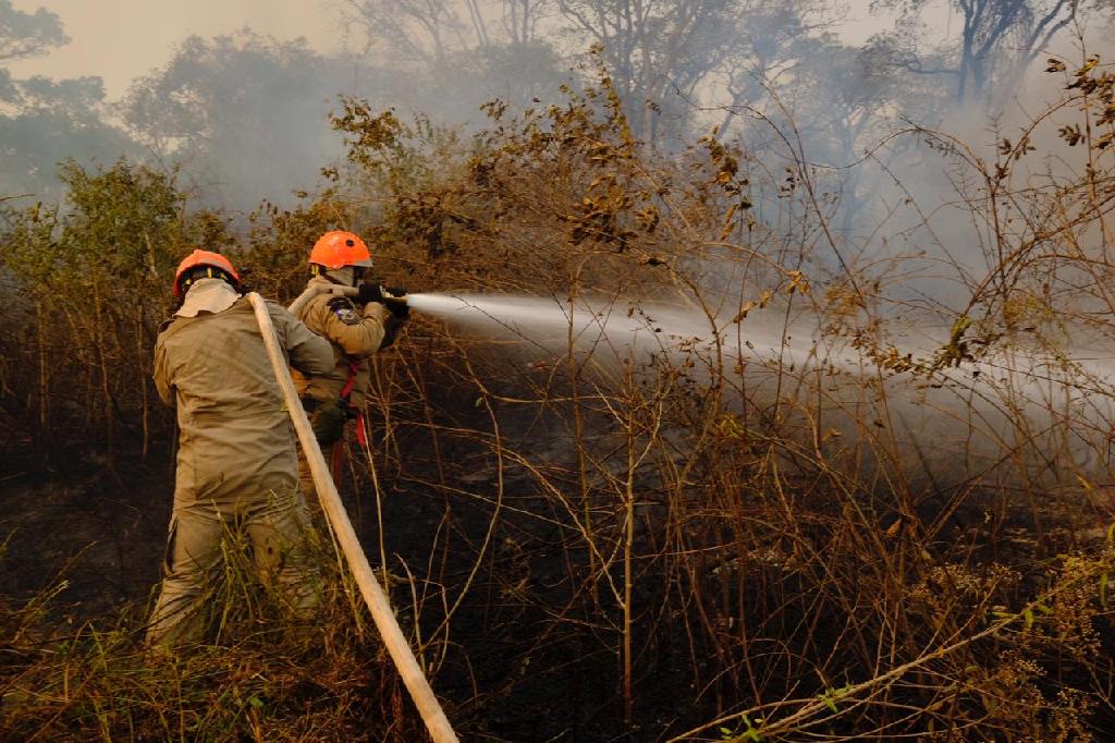 Voltar Sema destina mquinas de infratores para combate aos incndios no Pantanal