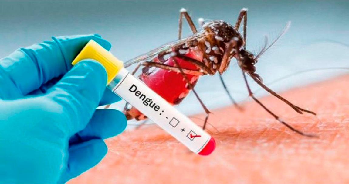 Em 20 dias, casos de Dengue em Mato Grosso registra aumento de 300%