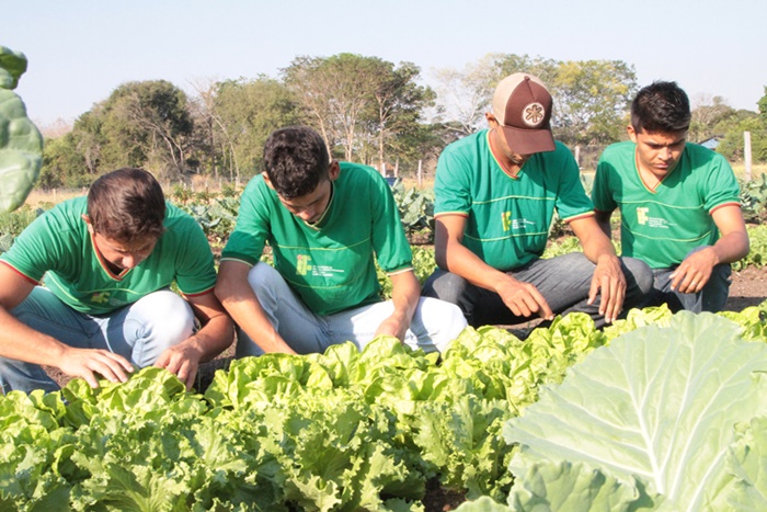 IFMT/Cceres oferece 40 vagas  para tcnico em Agropecuria