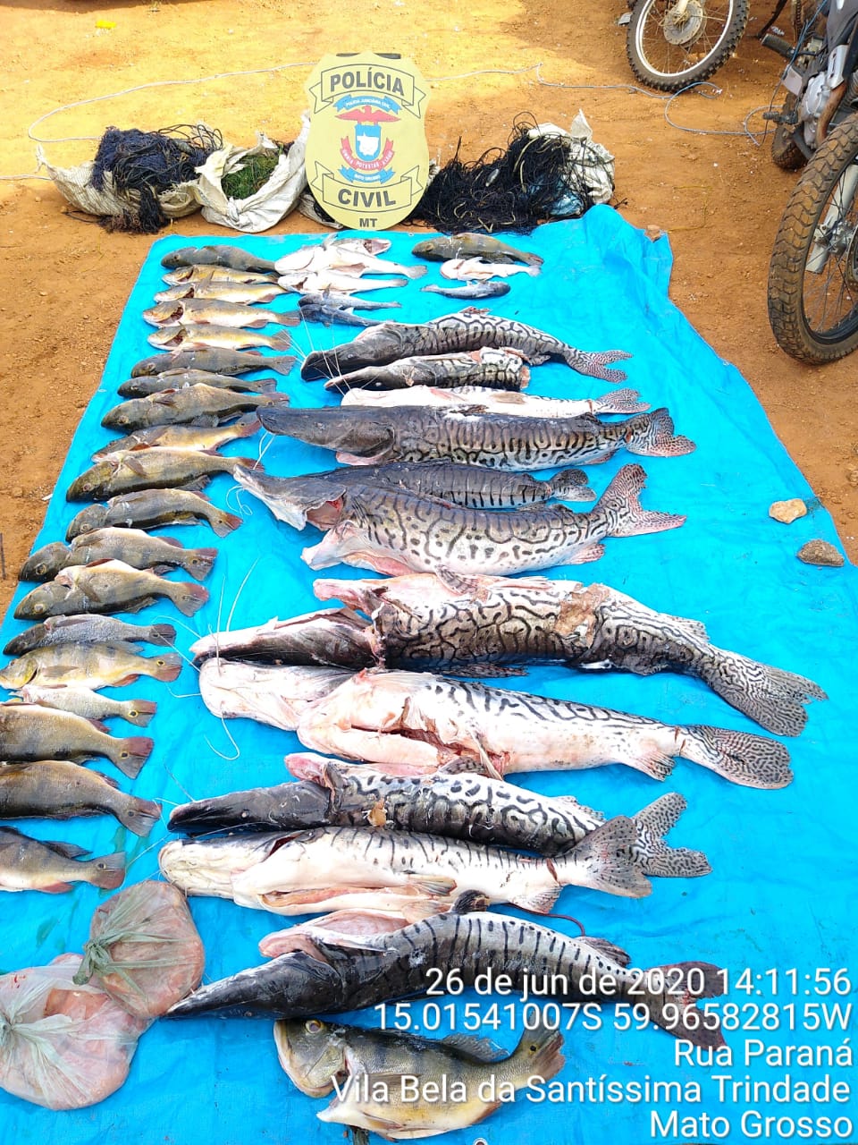 Polcia Civil prende 7 e apreende quase 200 kg de pescado irregular
