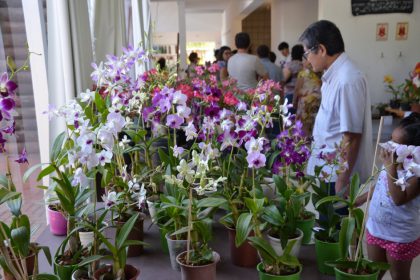 Rotary Club realiza amanh festival de flores do deserto