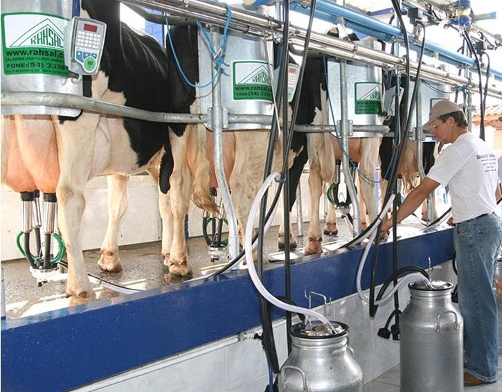 Produtores protestam e laticnios pagaram preo mdio pelo leite
