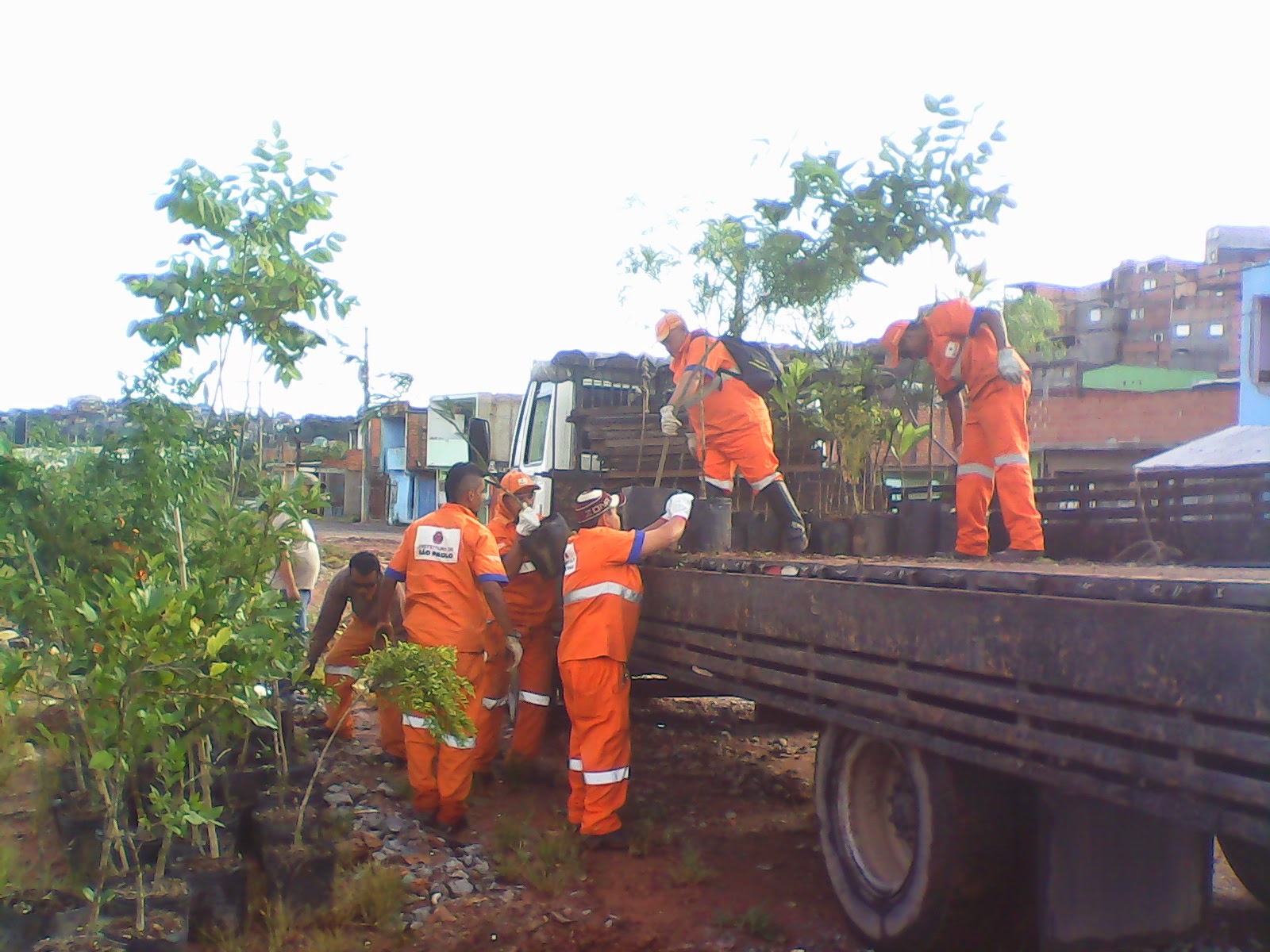 guas do Pantanal far plantio de rvores em antigo lixo de Cceres