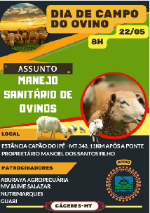 Neste domingo, Dia de Campo discutirá Manejo Sanitário de Ovinos em Cáceres