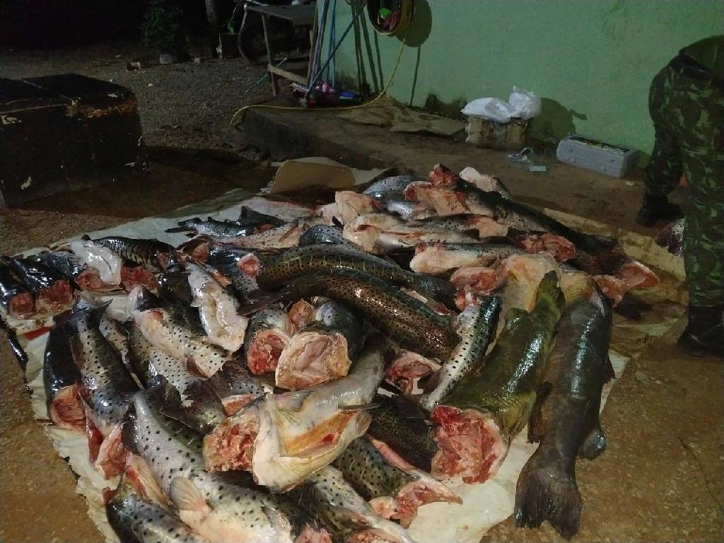 PM apreende 897 kg de pescado  ilegal, parte em reserva indgena