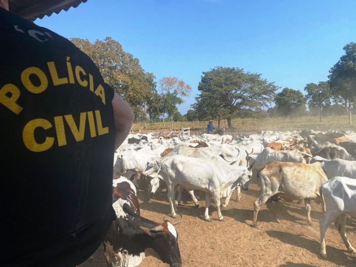 Polcia Civil recupera gado e apreende armas e munies em stio na zona rural de Cceres