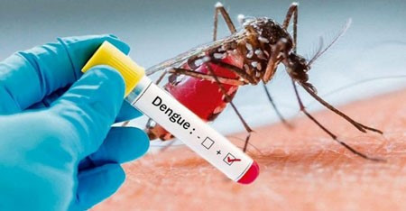 Mato Grosso registrou quase 15 mil casos  provveis de dengue at abril de 2023