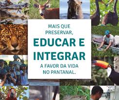 Projeto Bichos do Pantanal lana curso virtual para professores e profissionais da educao ambienta