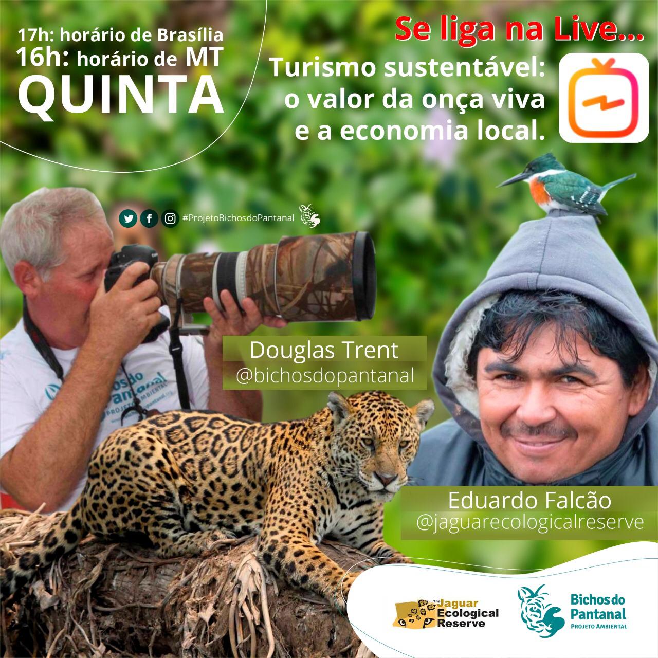 Bichos do Pantanal realizar live  falando sobre O Turismo de Observao de Onas