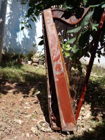 Amigos de Ado fazem 'vaquinha online' para adquirir nova harpa para o msico