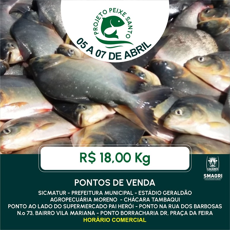 Comea na prxima quarta-feira (05) em Cceres a comercializao de pescado do projeto Peixe Santo