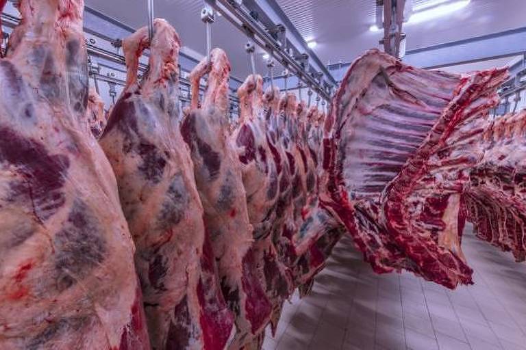 MPF instaura inquritos civis para investigar a origem do gado adquirido por 11 frigorficos em Mato